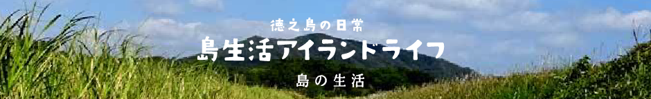 おいでよ！奄美パーク夏祭り♪ - 徳之島「島生活」