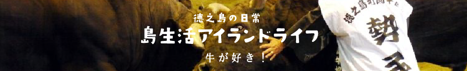 4/23 第8回徳之島きびまつり闘牛結果(4/24更新) - 徳之島「島生活」